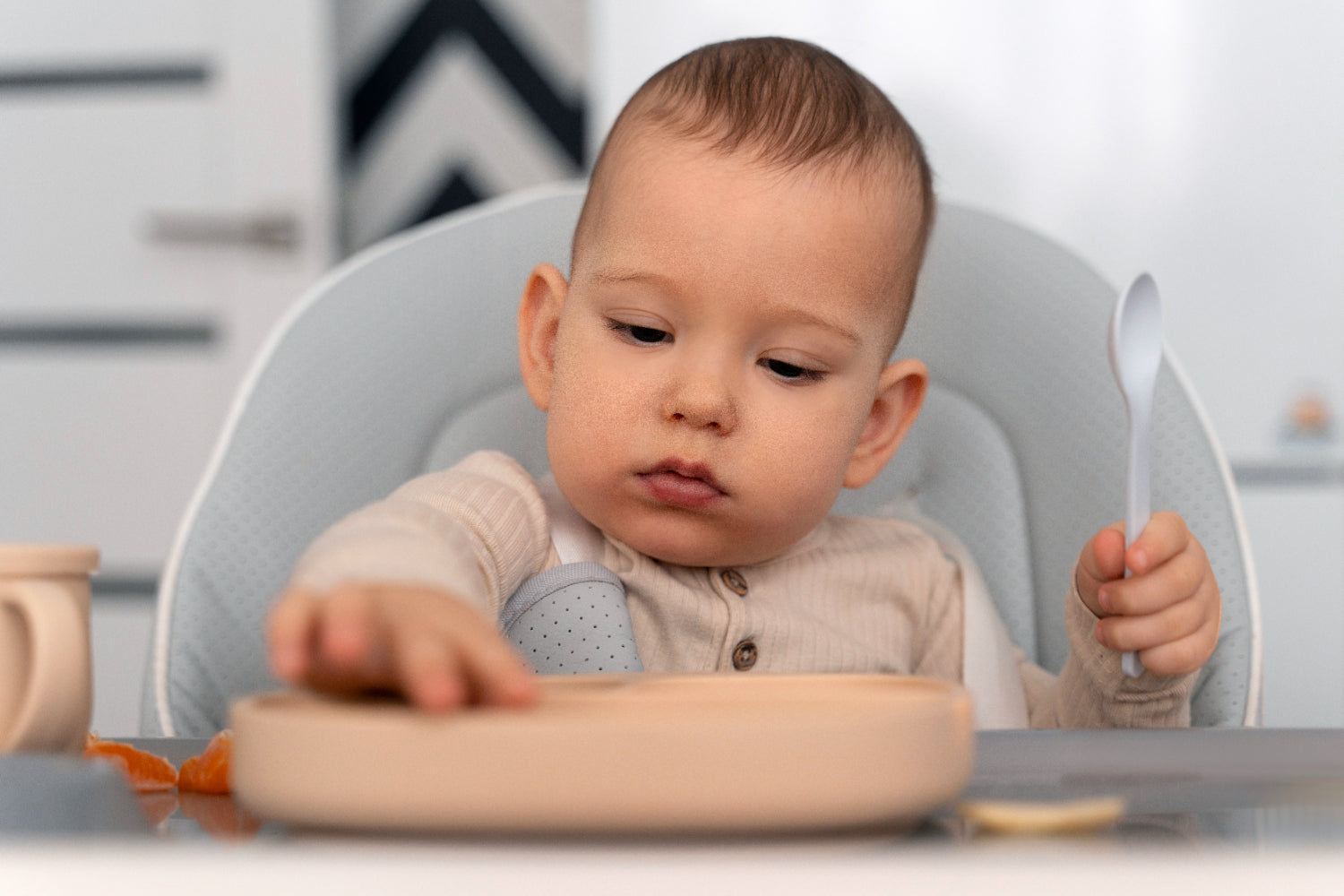 Toddler Feeding & its Essentials