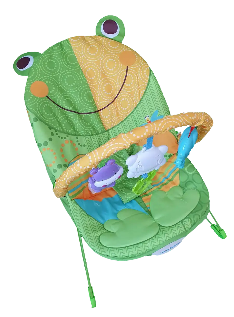 Fisher price cheap frog bouncer seat