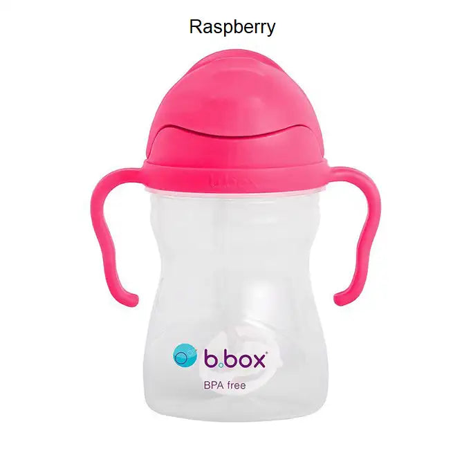 sippy cup - raspberry